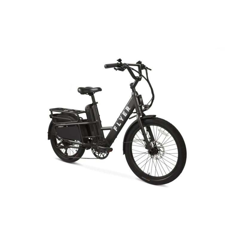 Flyer Flex 881 eBike