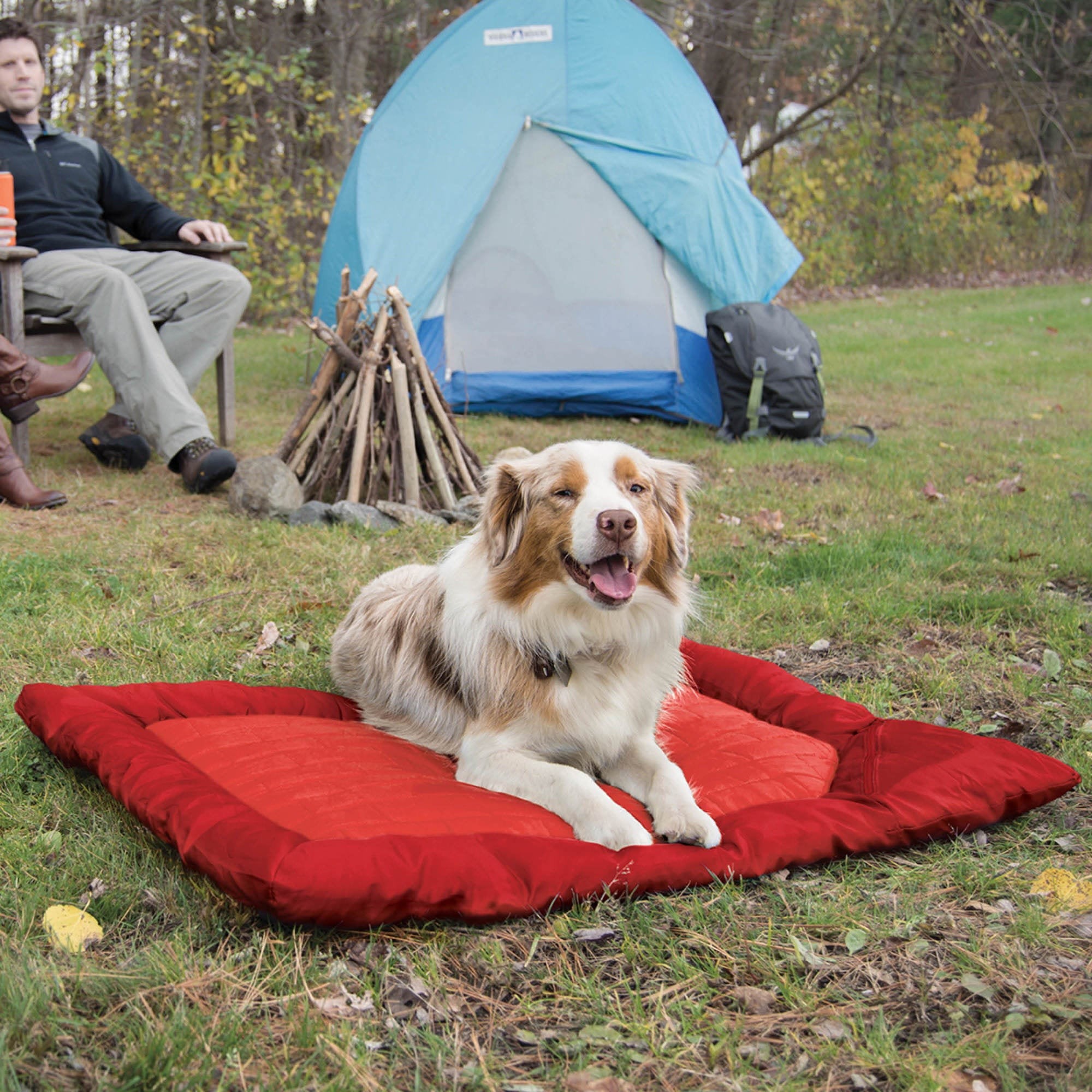 Loft Wander Portable Waterproof Pet Bed - Large Chili Red