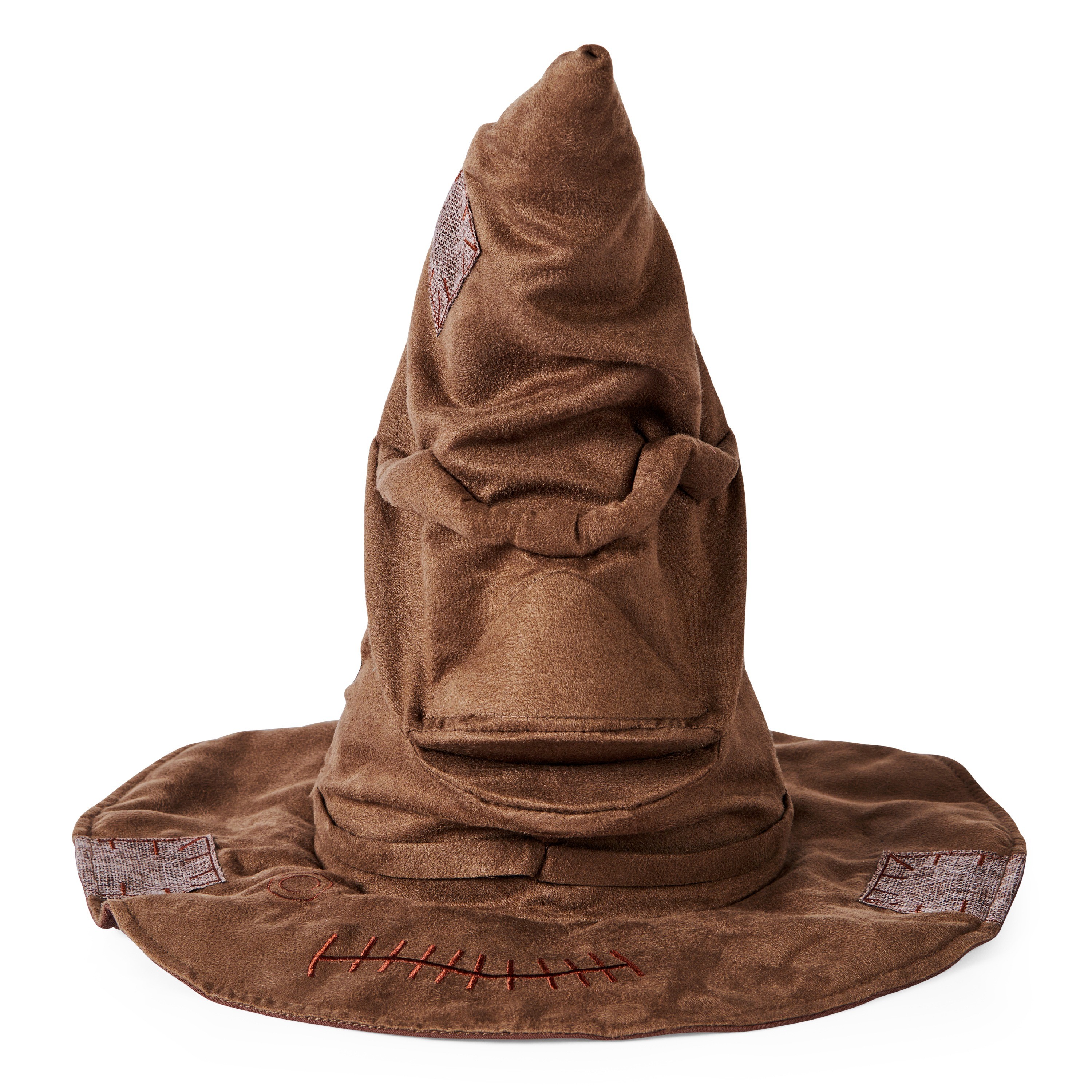 Talking Sorting Hat