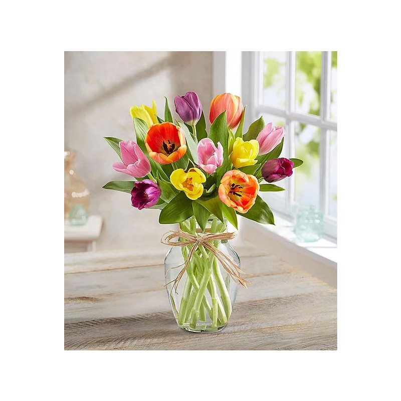 Timeless Tulips